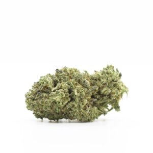 CBD blóm innandyra: Ostakaka