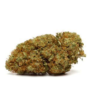 CBD blóm innandyra: Full gas