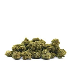 CBD poppkornsblóm: Gelato poppkorn