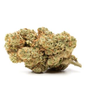 CBD blóm innandyra: Amnesia Haze #696