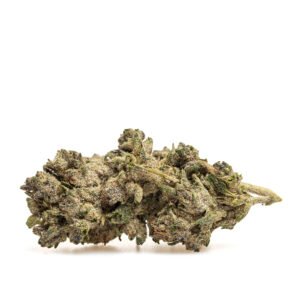 CBD blóm: SPRITZ N9 - THX