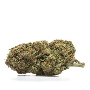 CBD blóm innandyra: BLÁBERJA - HYDRO