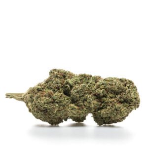 CBD blóm innandyra: TYGGJÓ - HYDRO