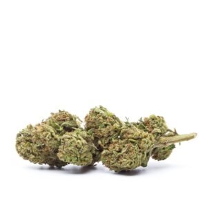 CBD blóm: Durban Poison