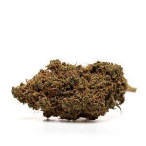 CBD blóm: FANTA ORANGE HYDRO - THX