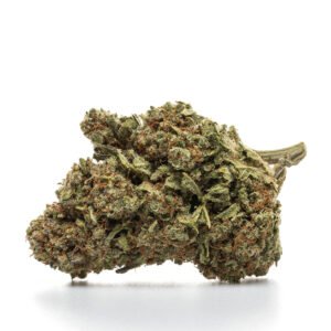 Innandyra CBD blóm: BANNAÐUR ÁVÖXTUR - HYDRO