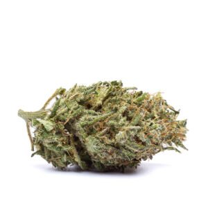 CBD blóm innandyra: Mango X Zkittlez