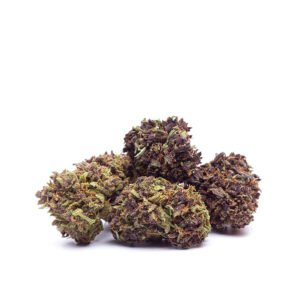 CBD blóm: Fjólublá móða