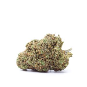 CBD blóm innandyra: RUNTZ – HYDRO