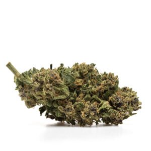 CBD blóm: SHERBELATO - THX