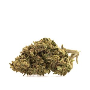 CBD blóm: TRUFFLE OG