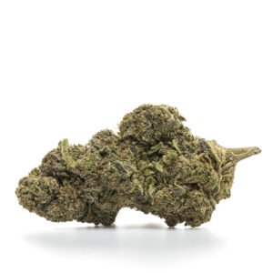 CBD blóm innandyra: BRÚÐKAKAKA - HYDRO