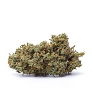 CBD blóm innandyra: Kosher Kush