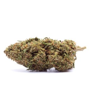 CBD blóm innandyra: Appelsínugular brum